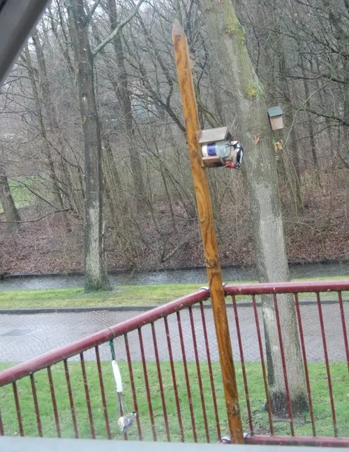 image21 e1590055942110