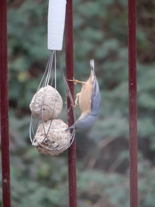 image31 e1590055954815