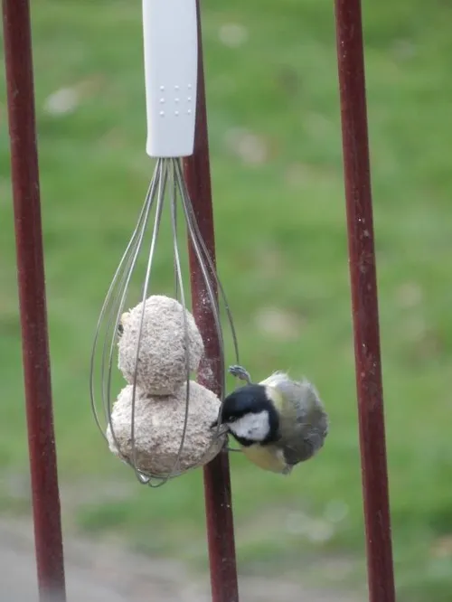 image41 e1590055970744