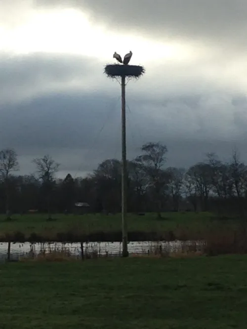 image5 e1585644996370