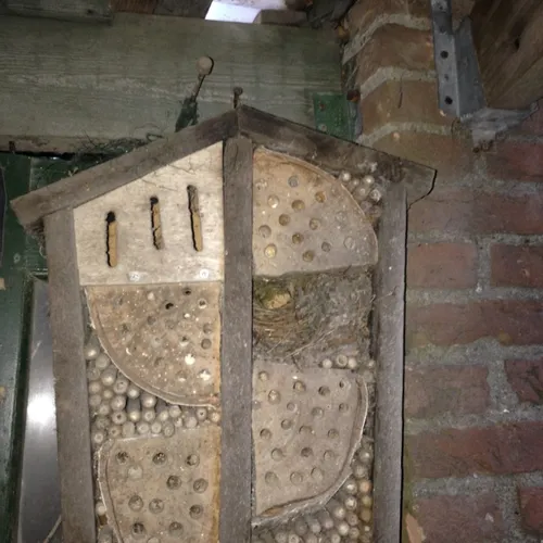 image8 e1586331350470