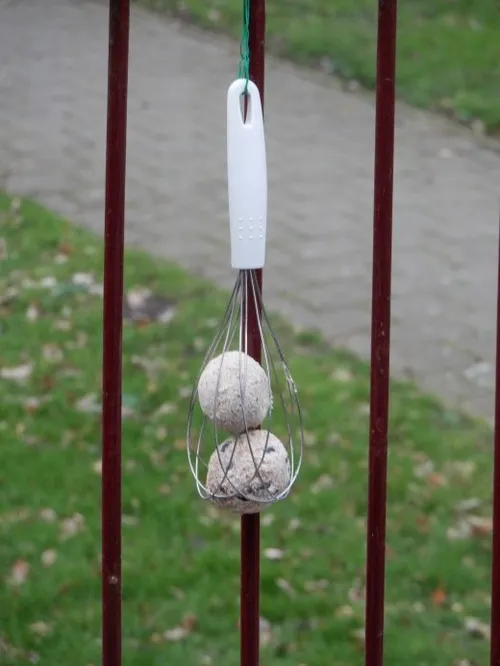 image8 e1588690805833