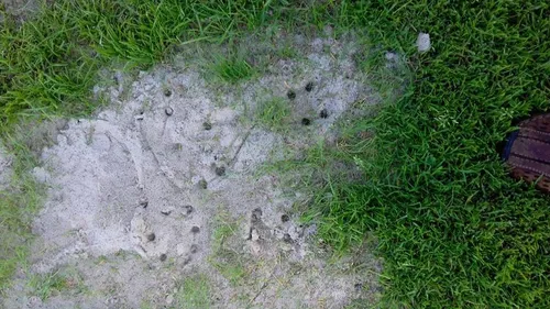 met spikes op pas ingezaaid voetbalveld fc krggenburg