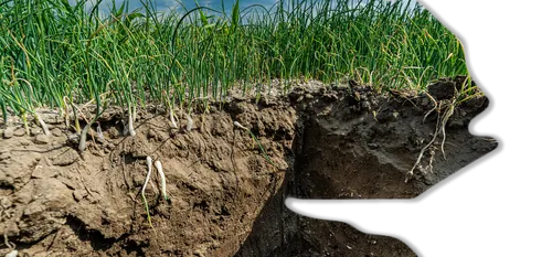 paul tolenaar unnamed 2