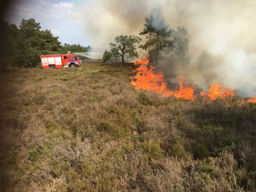 heidebrand elspeet jan frens 2