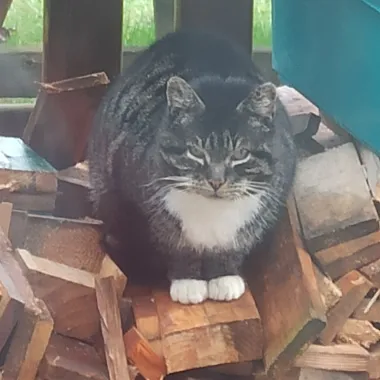 kat bergakkerweg nunspeet 1
