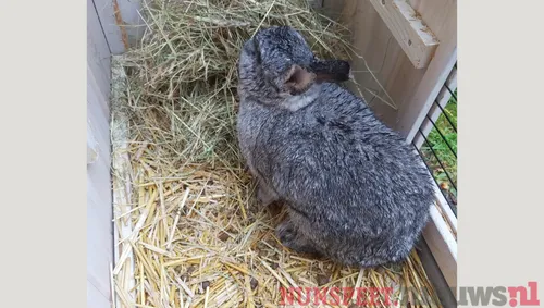 ontwerp zonder titel 2021 10 07t142325185