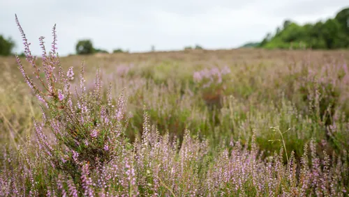 ontwerp zonder titel 71