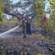 heidebrand frusselt vierhouten (2)