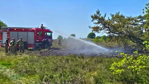 heidebrand frusselt vierhouten (3)