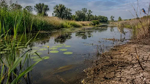 zoetwaternatuur