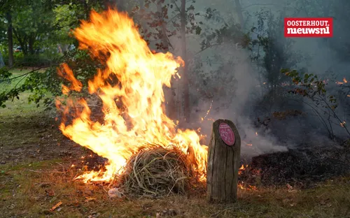 _Bosbrandje Leeuwenhoeklaan