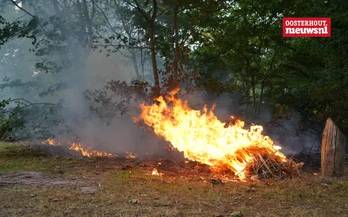 _Bosbrandje Leeuwenhoeklaan2