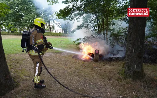 _Bosbrandje Leeuwenhoeklaan3