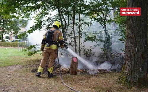 _Bosbrandje Leeuwenhoeklaan4