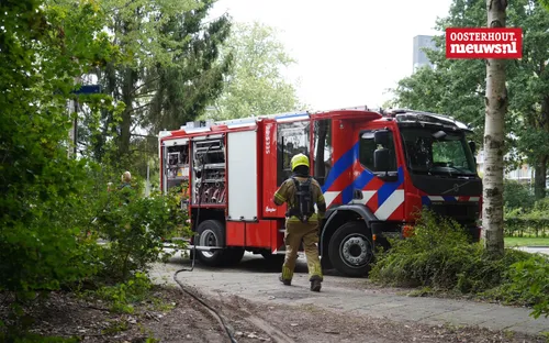 _Bosbrandje Leeuwenhoeklaan5