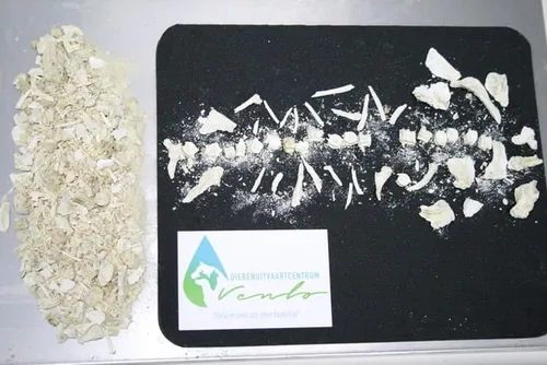 100522481 2945245072230295 6537657325136642048 n