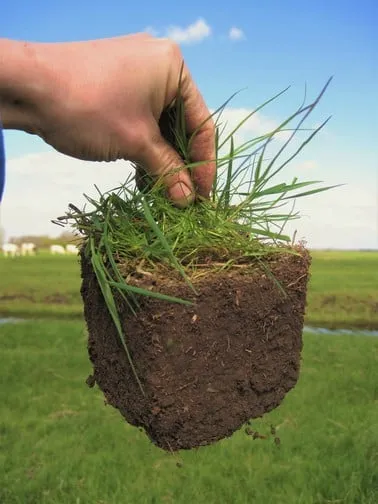 1052 329eac152305859695cd65f4c3128e9e