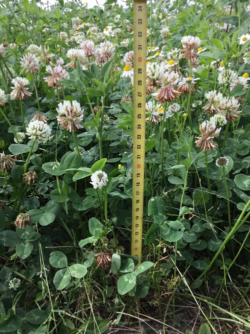 1052 36e02963850e096e1c84892b107dac70