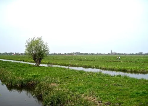 1052 a57c774f4429ab524a2687579f2024d6