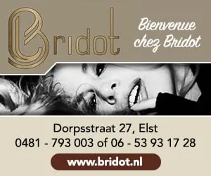 219231 bridot pb 300x250 1