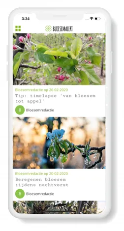 4296 d254c3b24927599c18e192e83fa59751