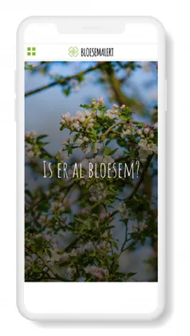 4296 f7ea60caa0537f6f8a90176f18b8ef7c