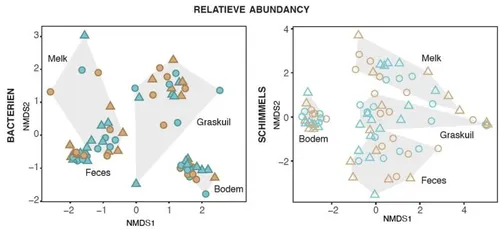 bacterie en scimmelgemeenschap