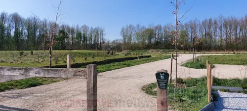 begraafplaats hemmen 1