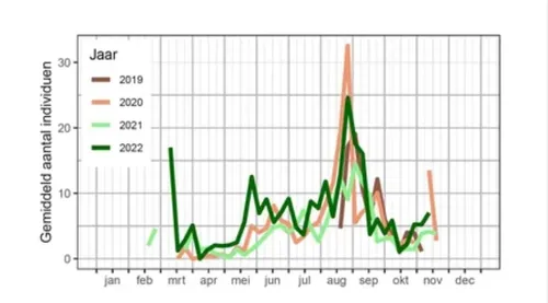 de nachtvlindervangsten van het bimag project