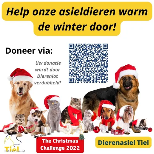 dierenasiel tiel pers 1 1080 x 1080 px