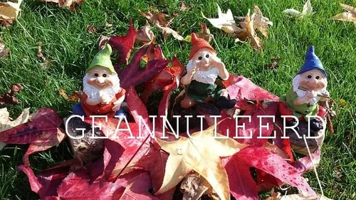 garden gnomes 531179 6401