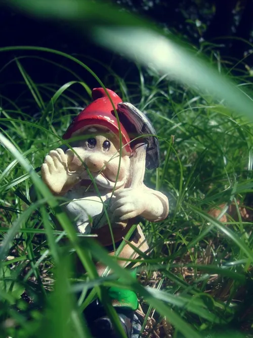 kabouterspeurtocht 1