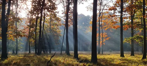 martin koops 2 scaled