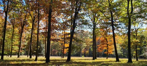 martin koops 3 scaled