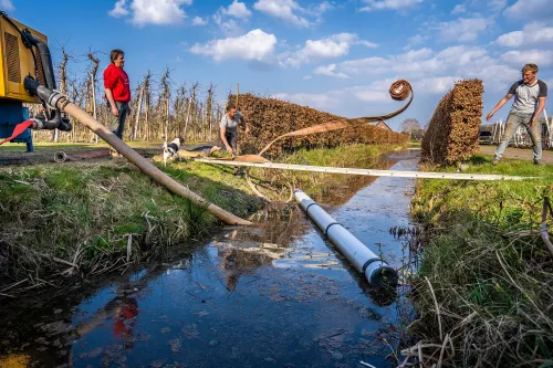 pavkerkavezaath1497 1