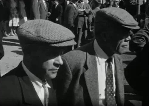 polygoon paardenmarkt