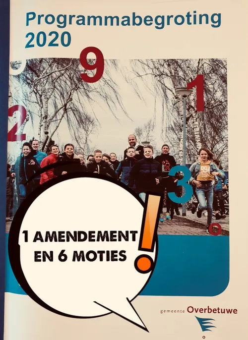 programma begroting 2020