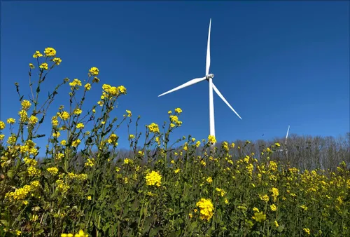 windparknijmegenbetuwe cw002 foto christine wevers 1