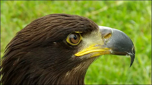 Foto: Marianne Cornelissen-Kuyt, CC-BY-SA-4.0