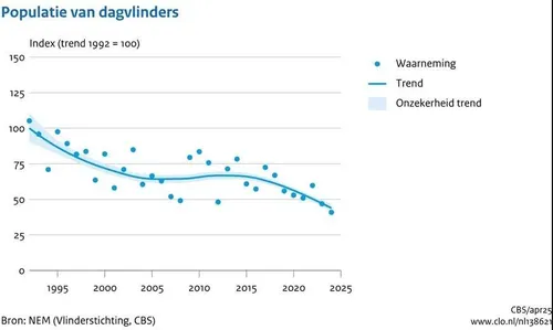 De dagvlinders zijn sinds 1992 met meer dan 50 procent achteruitgegaan. (Bron: Compendium voor de Leefomgeving)