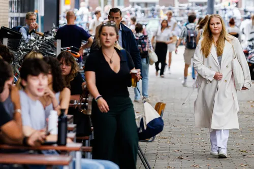 55999588 bsr agency scaled