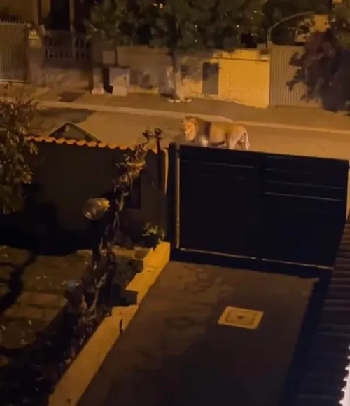 image 2023 11 12 111735