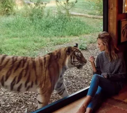 schermafbeelding 2019 11 25 om 171739