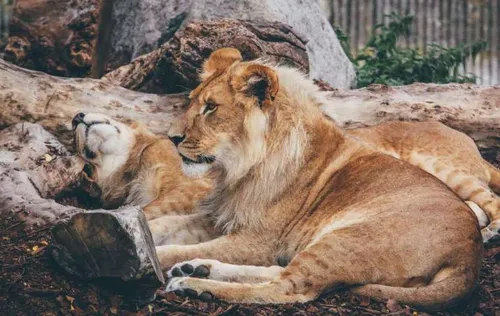 schermafbeelding 2019 11 25 om 171916