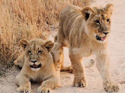 schermafbeelding 2019 11 25 om 172147