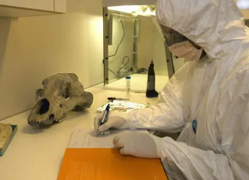 schermafbeelding 2019 11 29 om 111033