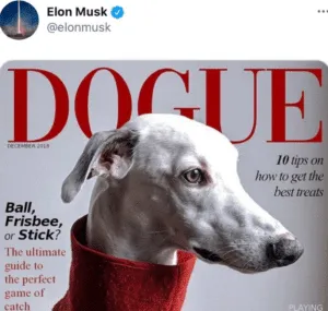 schermafbeelding 2021 01 29 om 153200 300x285