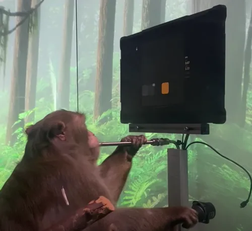 schermafbeelding 2021 04 10 om 100736