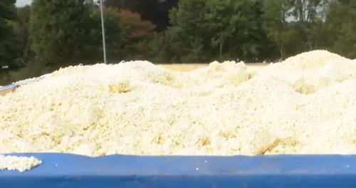 schermafbeelding 2021 09 12 om 155640